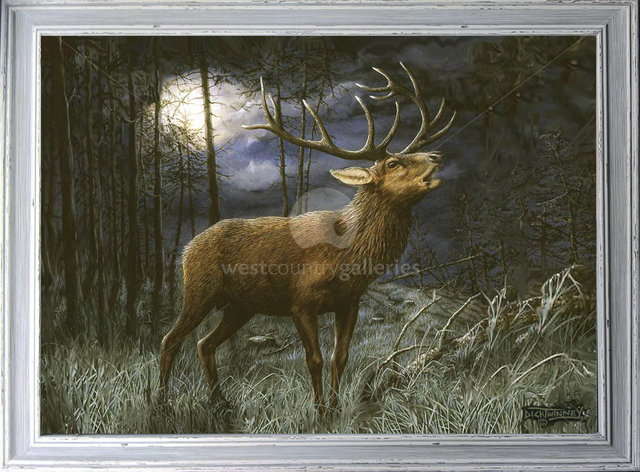 Image of By the Light of the Moon ~ Red Deer Stag